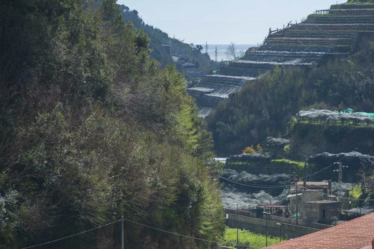 Casa Rosanna Villa Maiori Eksteriør billede